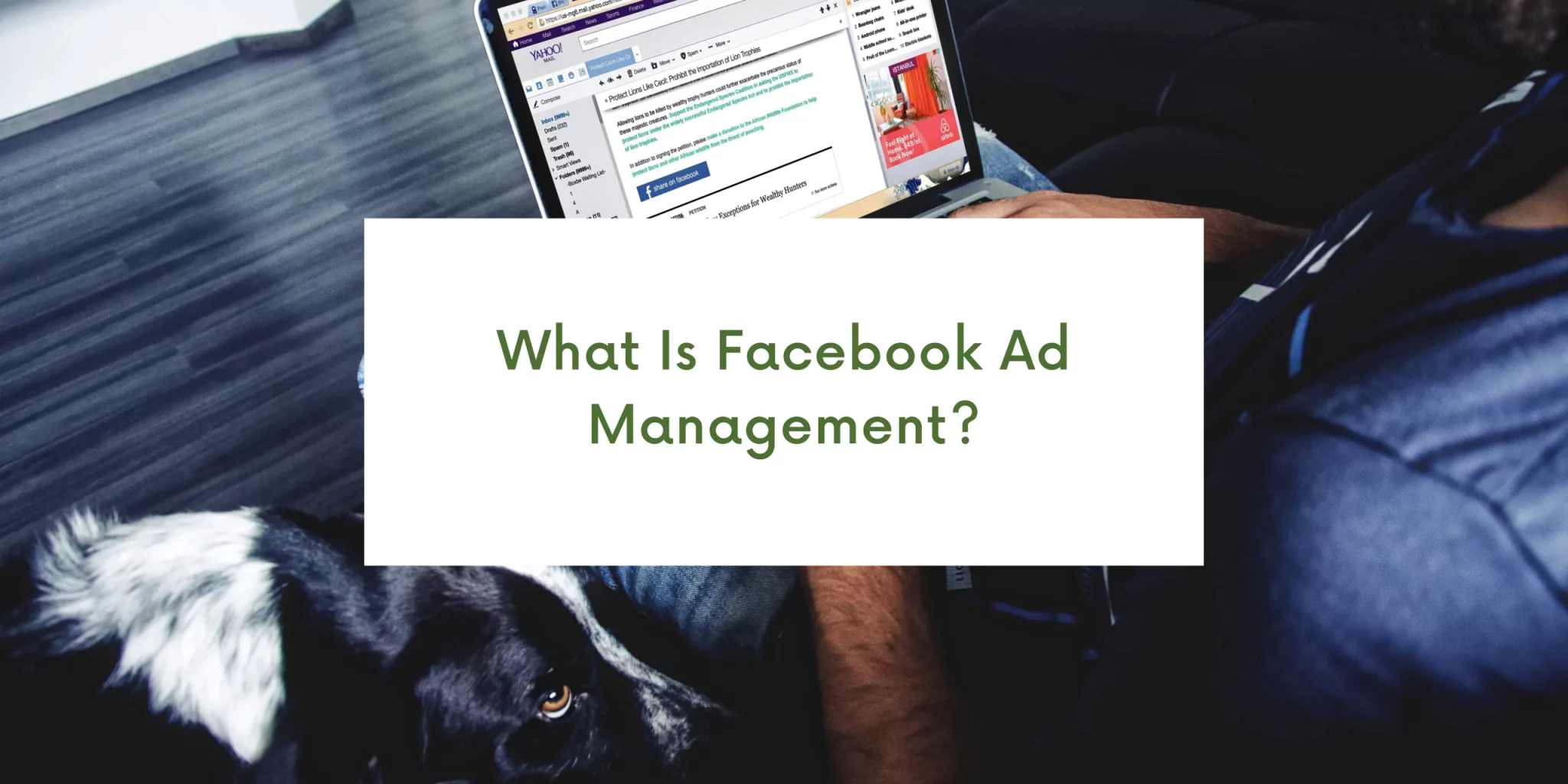 facebook-ad-management