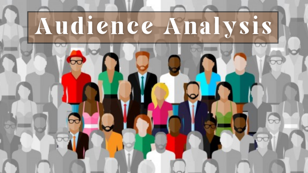 audience-analysis-spy-now-instagram