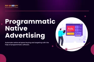 Programmatic-Native-Advertising