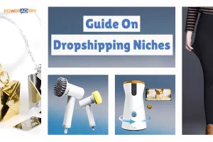guide-to-dropshipping-niches