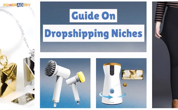 guide-to-dropshipping-niches