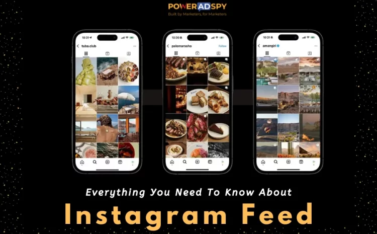 instagram-feed