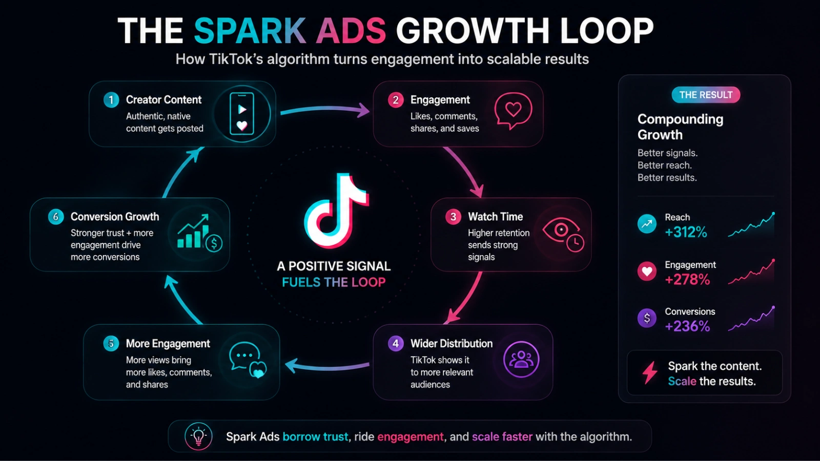 why-tiktoks-algorithm-rewards-spark-ads